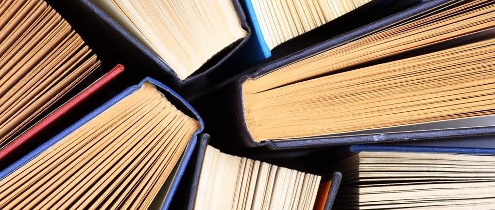 Book Detectives (1)