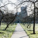 A picture of Fulham Palace from the back, with a line of trees following the pathway