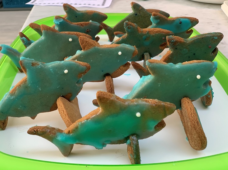 shark biscuits