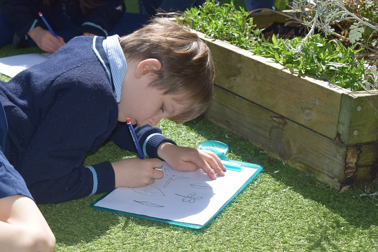 school boy drawing plants