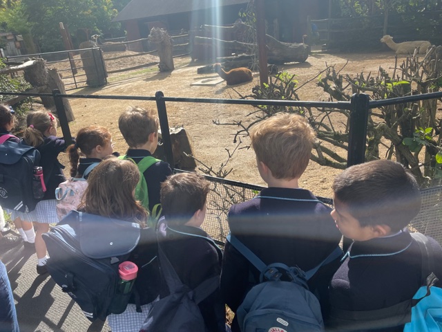 Children from a London prep school visiting a zoo