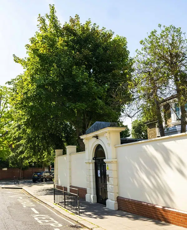 White arched doorway set in a pale wall along a sunlit street, with a large tree behind the gate.