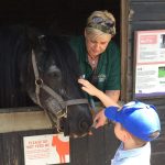 Boy petting a horse