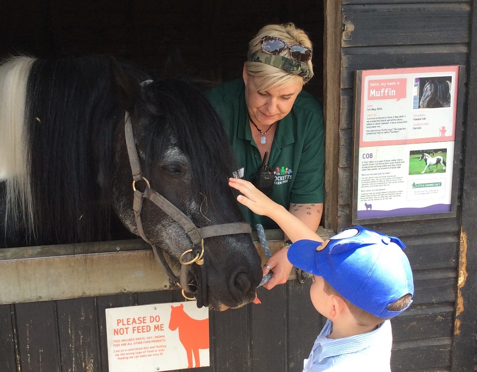 Boy petting a horse